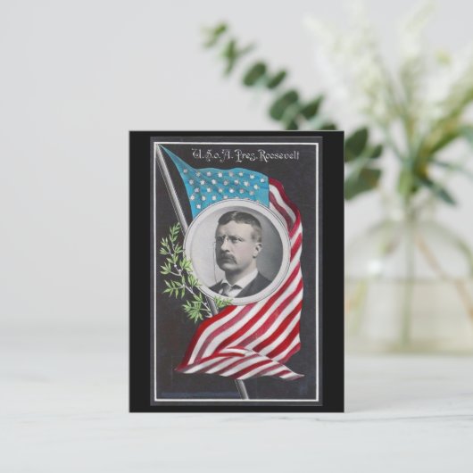 Theodore Roosevelt Postkarte (Stehend Vorderseite)