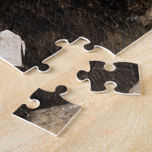 Theodore Roosevelt Puzzle (Seite)