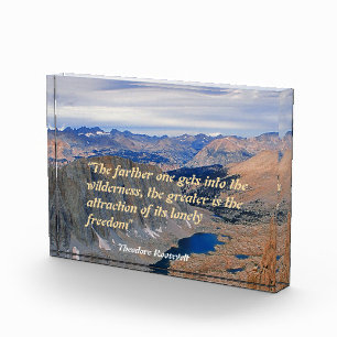 Theodore Roosevelt-Quote Fotoblock