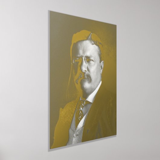 Theodore Roosevelt Teddy Präsident Republikaner Foliendrucke (Ablage )