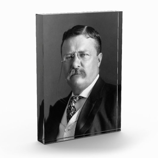 Theodore Roosevelt Teddy Präsident Republikaner Fotoblock (Links)