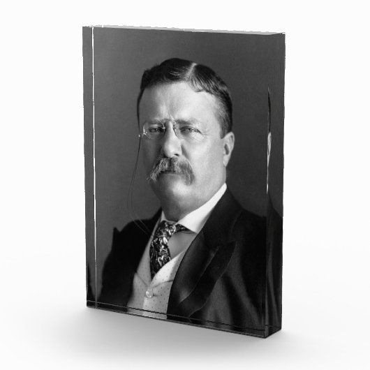 Theodore Roosevelt Teddy Präsident Republikaner Fotoblock (Rechts)