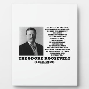 Theodore Roosevelt Waste Zerstörung natürlicher Re Fotoplatte