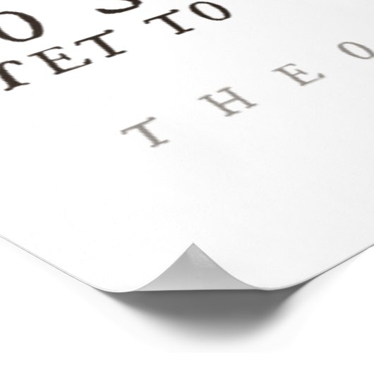 Theodore Roosevelts stürmisches Leben Poster (Ecke)