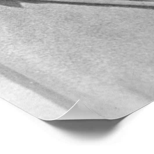 Theodore "Teddy" Roosevelt Poster (Ecke)