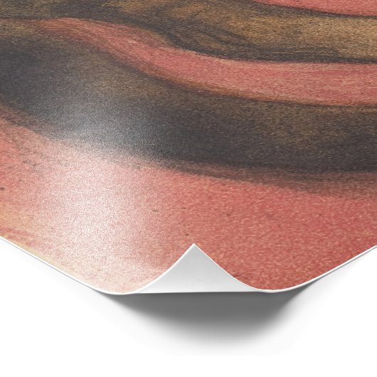 Théophile Steinlen | Winter: Katze auf Kissen Fotodruck (Ecke)