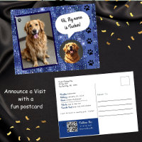 Therapie-Hund Besuch Blue Sparkle