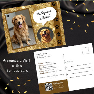 Therapie-Hund-Besuch Gold Sparkle Postkarte