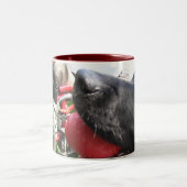 THERAPIE-HUNDElabrador-FOTO Zweifarbige Tasse (Mittel)