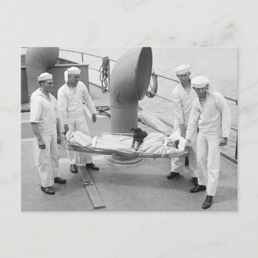 Therapiehund, Anfang der 1900er Jahre Postkarte (Vorderseite)