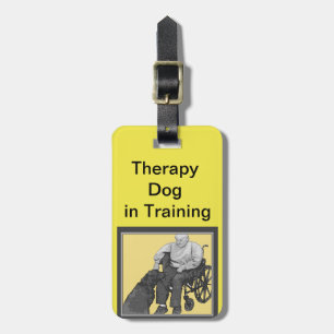Therapiehund in der Ausbildungsplatzform Gepäckanhänger
