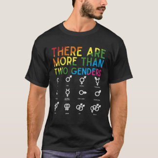 There Are More Than 2 Genders Rainbow  LGBT Pride T-Shirt