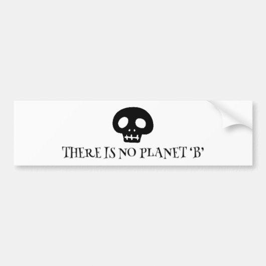 There is no planet 'B' Autoaufkleber (Vorne)