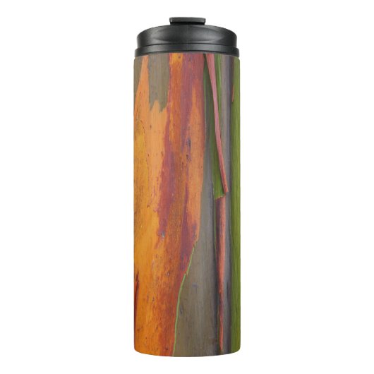 Thermal Tumbler 07 - Regenbogen Eukalyptus Thermosbecher (Vorderseite)