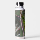 Thermalflasche mit Bild eines Eisvogel Trinkflasche (Rechts)