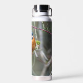 Thermalflasche mit Bild eines Eisvogel Trinkflasche (Rückseite)