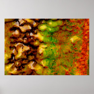 Thermalökosystem Poster