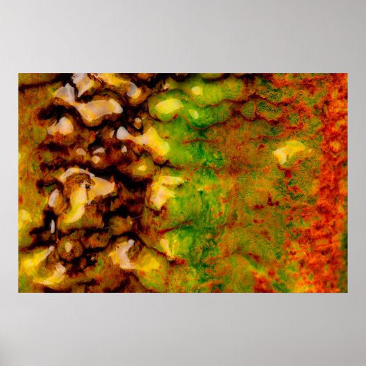 Thermalökosystem Poster (Vorne)