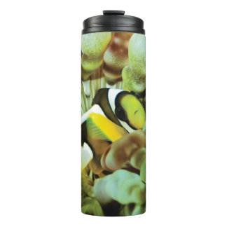 Thermische Tasse mit clownfish Entwurf