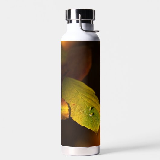 Thermoflasche mit Herbstbild Trinkflasche (Links)