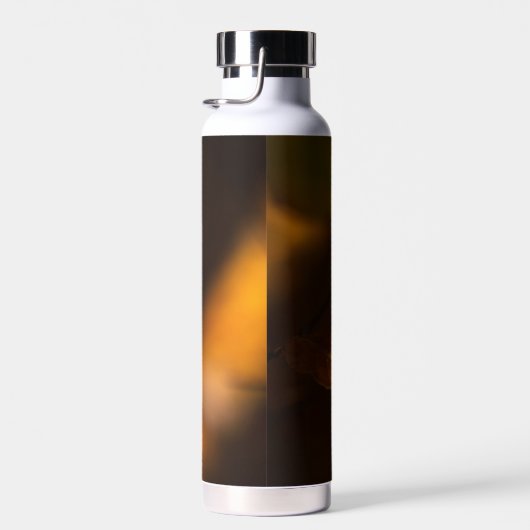 Thermoflasche mit Herbstbild Trinkflasche (Rechts)