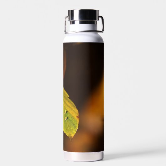 Thermoflasche mit Herbstbild Trinkflasche (Rückseite)