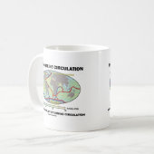 Thermohalinzirkulation (Meridionale Umdrehung) Kaffeetasse (Vorderseite Links)