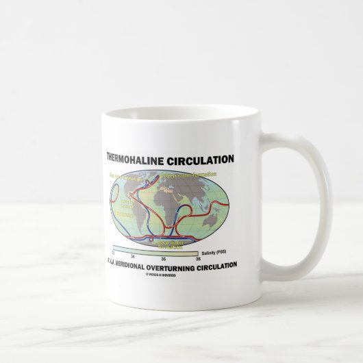Thermohalinzirkulation (Meridionale Umdrehung) Kaffeetasse (Rechts)