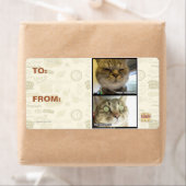 Thermometer (Insitu)