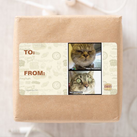 Thermometer (Insitu)