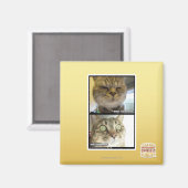 Thermometer Magnet (Vorderseite/Rückseite)