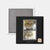 Thermometer Magnet (Vorderseite/Rückseite)