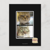 Thermometer Postkarte (Vorderseite)