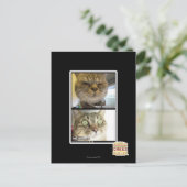 Thermometer Postkarte (Stehend Vorderseite)