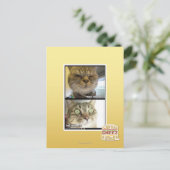 Thermometer Postkarte (Stehend Vorderseite)