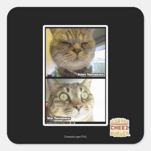 Thermometer Quadratischer Aufkleber