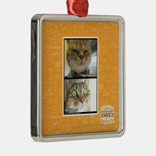 Thermometer Silbernes Ornament (Rechts)