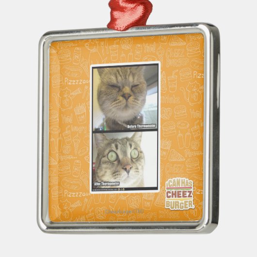 Thermometer Silbernes Ornament (Links)