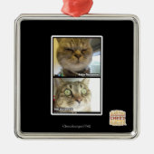 Thermometer Silbernes Ornament (Vorne)