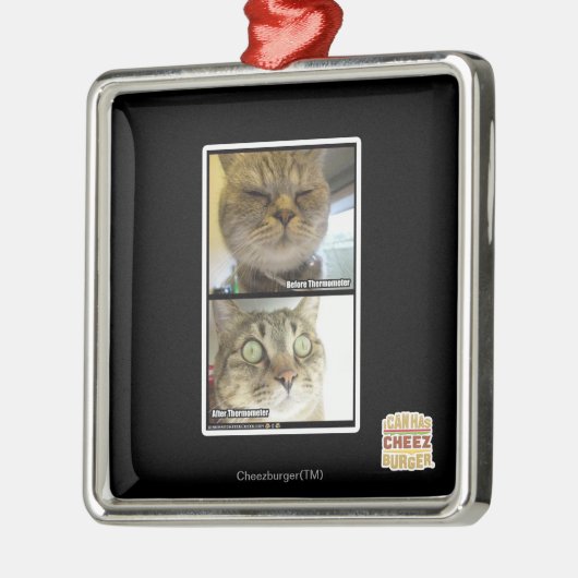 Thermometer Silbernes Ornament (Links)