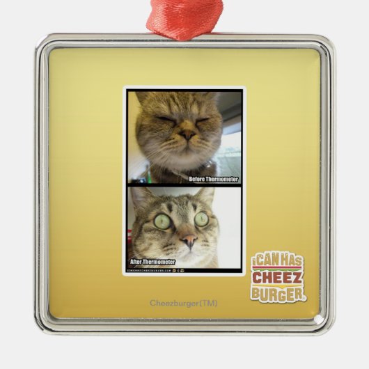 Thermometer Silbernes Ornament (Vorne)