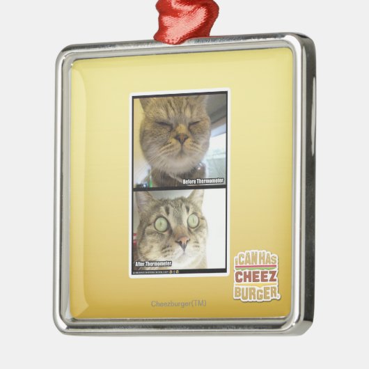 Thermometer Silbernes Ornament (Links)