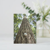 Thermostat auf einem hohen Baum im Wald Postkarte (Stehend Vorderseite)