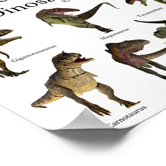 Theropod Dinosaurier Poster (Ecke)