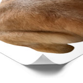 Thicc Boi Fat und Funny Yellow Labrador Retriever Poster (Ecke)