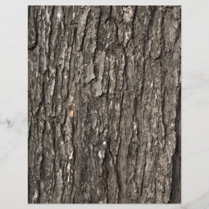 Thick Tree Bark