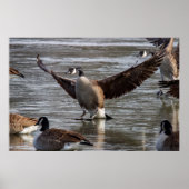 Thin Ice Poster (Vorne)