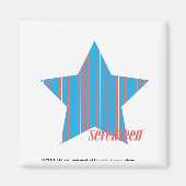 Thin Stripes Aqua 2 Magnet (Vorne)