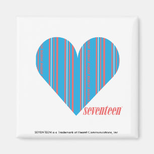Thin Stripes Aqua 3 Magnet