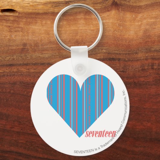 Thin Stripes Aqua 3 Schlüsselanhänger (Vorderseite)